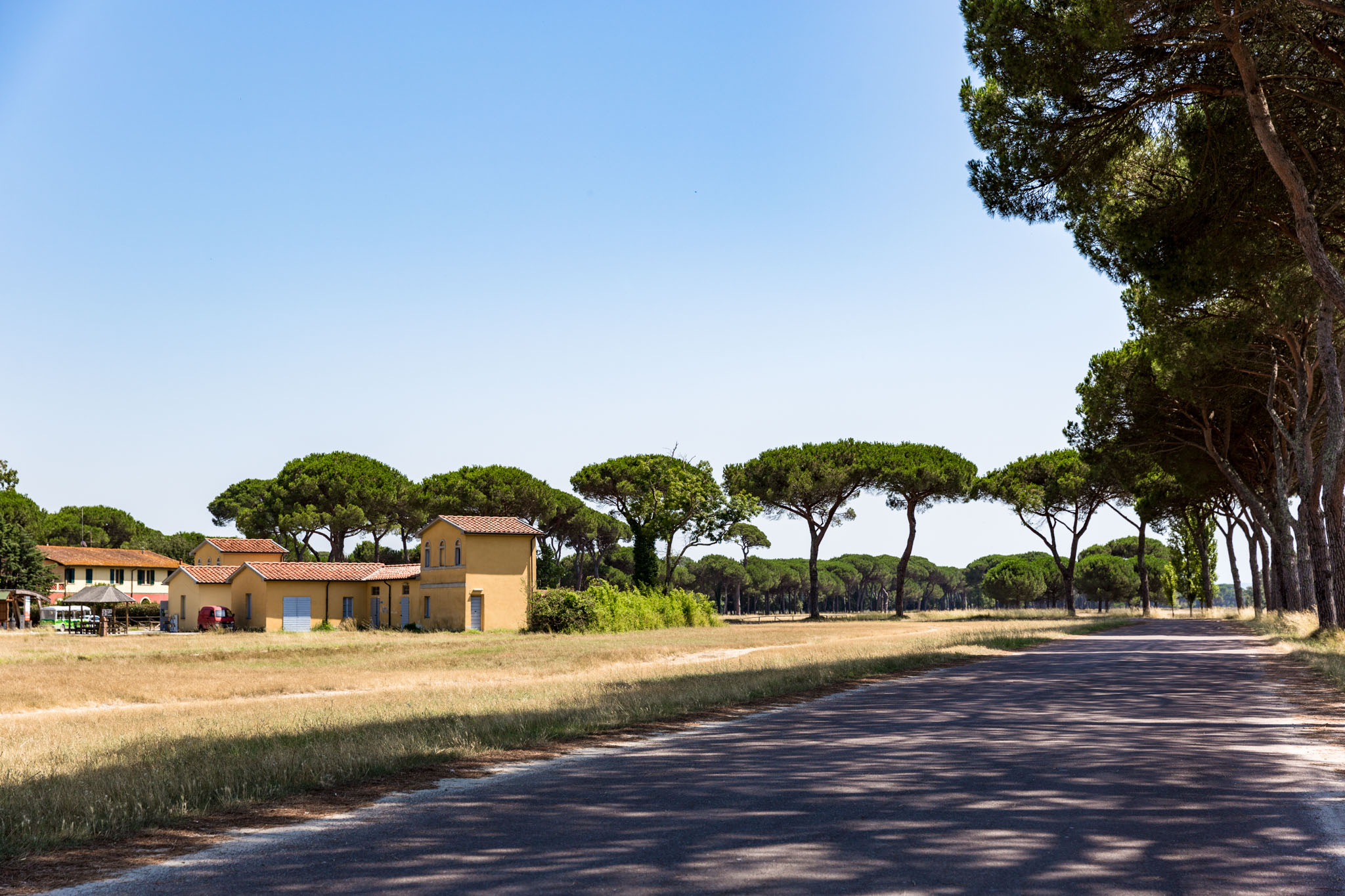Parco naturale Migliarino San Rossore Massaciuccoli (Tuscany